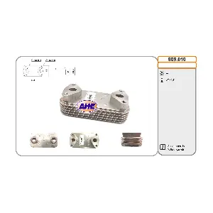 809.010 AHE