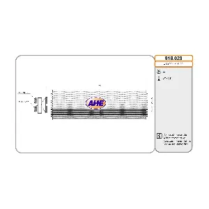 818029 AHE