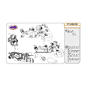 FT123011M AHE