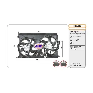 309210 AHE