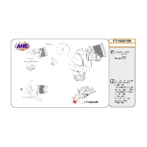 FT106011M AHE