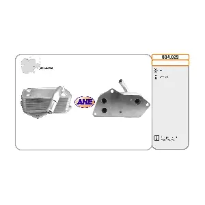 804.029 AHE