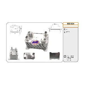 802024 AHE