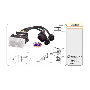 402022 AHE