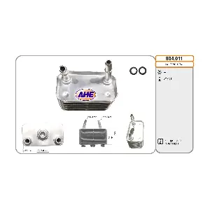 804.011 AHE