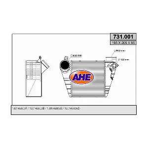 AHE 731001