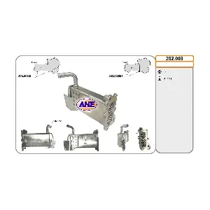 202003 AHE