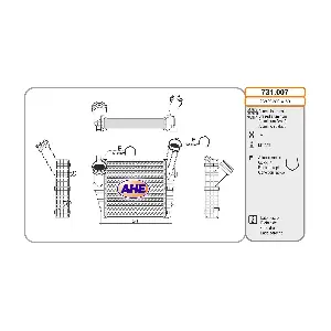 731007 AHE