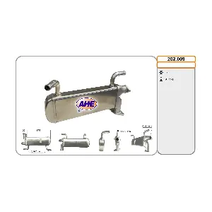 202.009 AHE