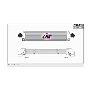 732019 AHE
