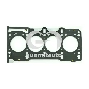 GUARNITAUTO 101081-5251