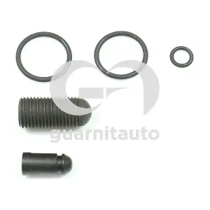 0942281000 GUARNITAUTO