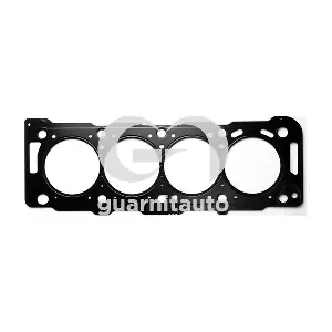 GUARNITAUTO 103671-5253