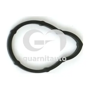 183784-8000 GUARNITAUTO