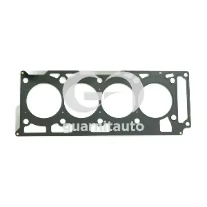 102566-5250 GUARNITAUTO