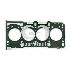GUARNITAUTO 101081-5253