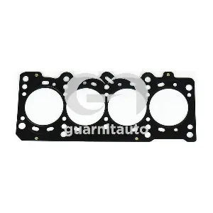 101099-5250 GUARNITAUTO