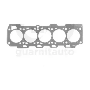 101061-3852 GUARNITAUTO