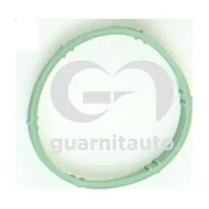 184763-8100 GUARNITAUTO