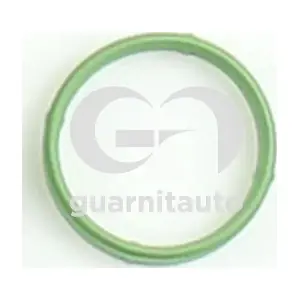184788-8300 GUARNITAUTO