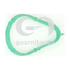 184799-8300 GUARNITAUTO