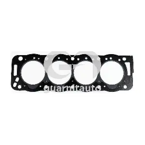 GUARNITAUTO 103657-19160
