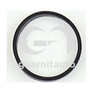 184219-8300 GUARNITAUTO
