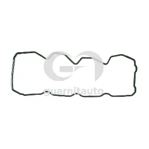 120954-8000 GUARNITAUTO
