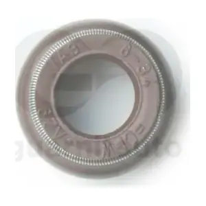 GUARNITAUTO 140526-8483