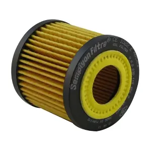 SAMPIYON FILTER CE 1022 E