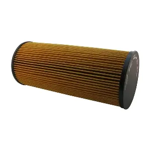 CE 1071 E SAMPIYON FILTER