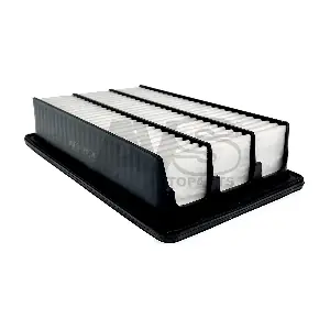 AVS AUTOPARTS PM998
