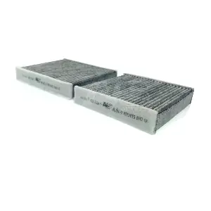 AVS AUTOPARTS HB181C-2