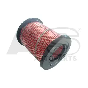 AVS AUTOPARTS RM992