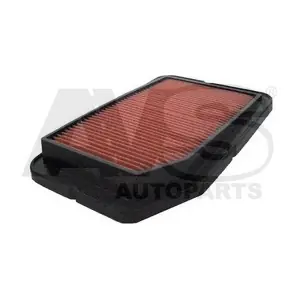 AVS AUTOPARTS P255