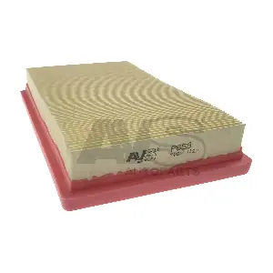 P858 AVS AUTOPARTS