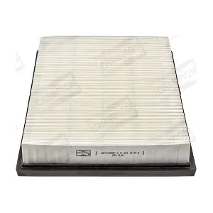 CHAMPION CAF100928P