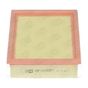 CHAMPION CAF100557P