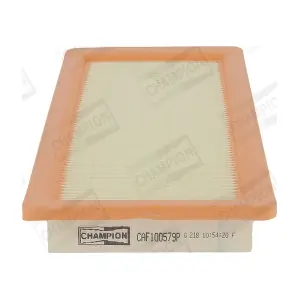 CHAMPION CAF100579P
