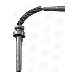 CLS241 CHAMPION