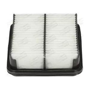 CHAMPION CAF100933P