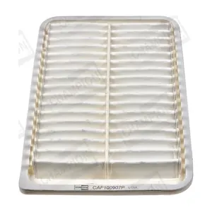 CHAMPION CAF100907P