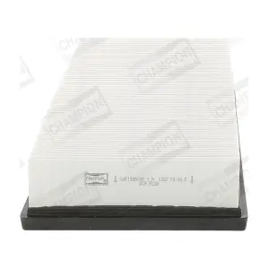CHAMPION CAF100918P