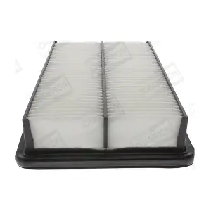 CHAMPION CAF100833P