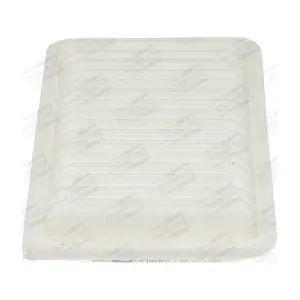 CHAMPION CAF100942P