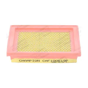 CHAMPION CAF100619P