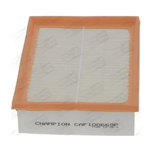 CHAMPION CAF100669P