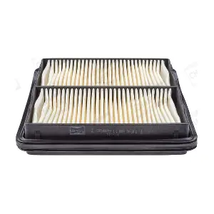 CHAMPION CAF100646P