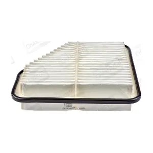 CHAMPION CAF100920P