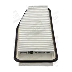 CHAMPION CAF100768P